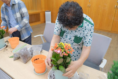 DSCF0177.JPG