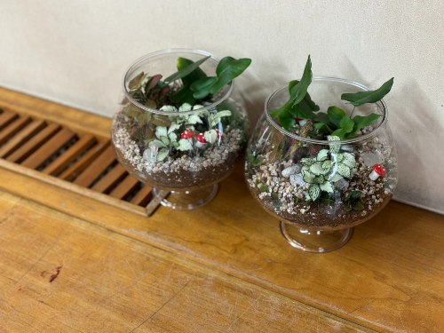 KakaoTalk_20250912_090149307_01.jpg