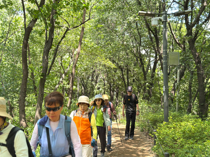 KakaoTalk_20260520_102953429_03.jpg