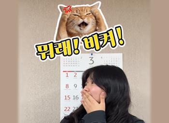 ���� ��ȸ�������� ���̶�ϱ�?! �����